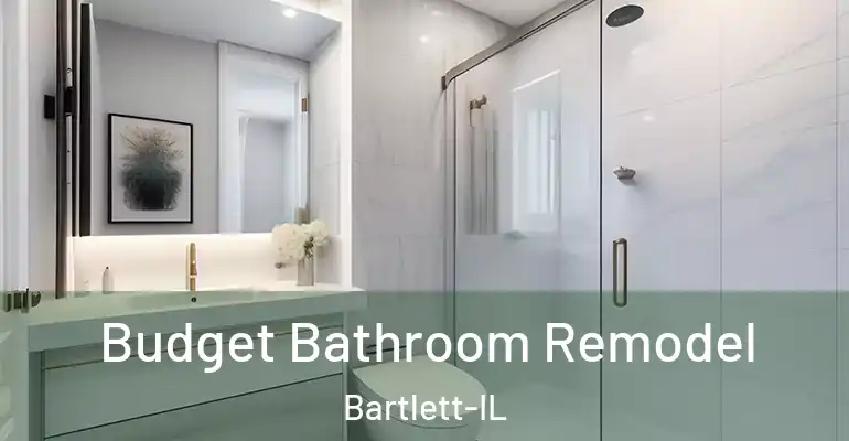 inner Bathroom imggen Budget Bathroom Remodel Bartlett-IL