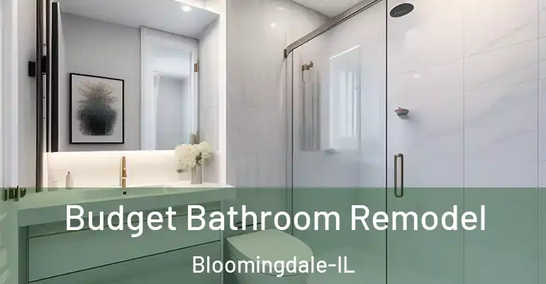 inner Bathroom imggen Budget Bathroom Remodel Bloomingdale-IL