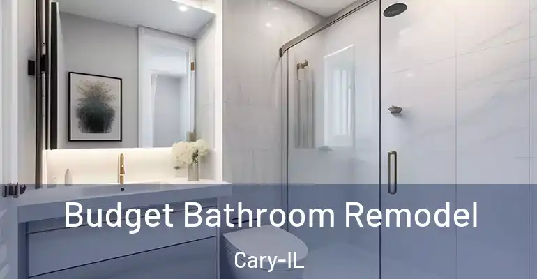 inner Bathroom imggen Budget Bathroom Remodel Cary-IL