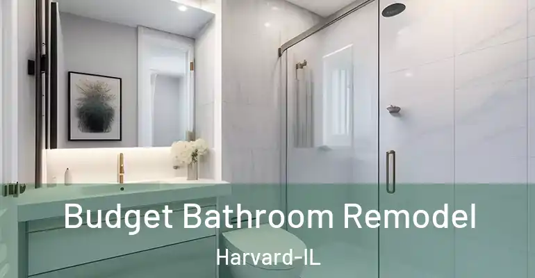 inner Bathroom imggen Budget Bathroom Remodel Harvard-IL