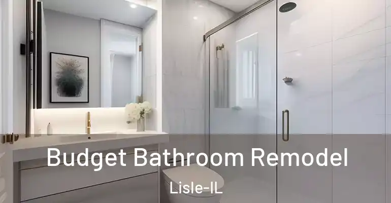 inner Bathroom imggen Budget Bathroom Remodel Lisle-IL