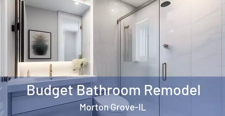 inner Bathroom imggen Budget Bathroom Remodel Morton Grove-IL