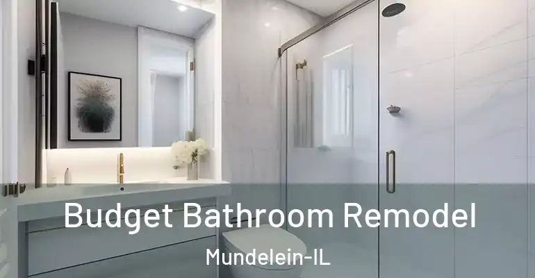 inner Bathroom imggen Budget Bathroom Remodel Mundelein-IL