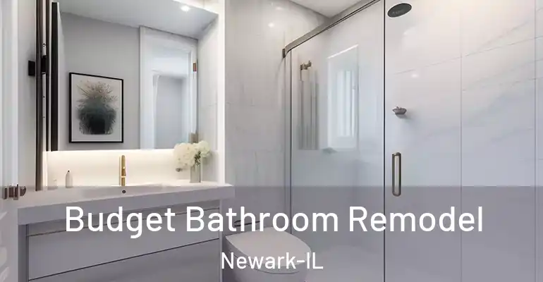 inner Bathroom imggen Budget Bathroom Remodel Newark-IL