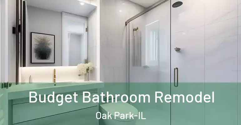 inner Bathroom imggen Budget Bathroom Remodel Oak Park-IL
