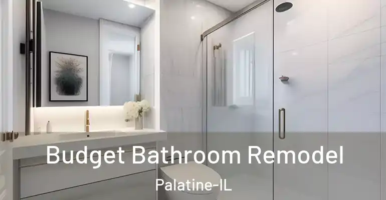 inner Bathroom imggen Budget Bathroom Remodel Palatine-IL