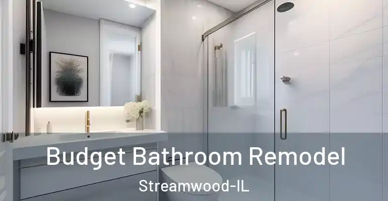 inner Bathroom imggen Budget Bathroom Remodel Streamwood-IL