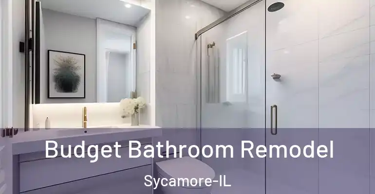 inner Bathroom imggen Budget Bathroom Remodel Sycamore-IL