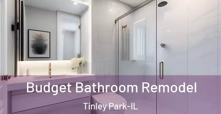 inner Bathroom imggen Budget Bathroom Remodel Tinley Park-IL