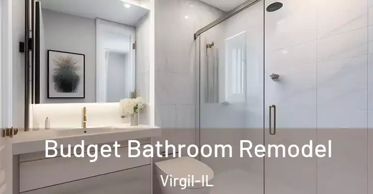 inner Bathroom imggen Budget Bathroom Remodel Virgil-IL