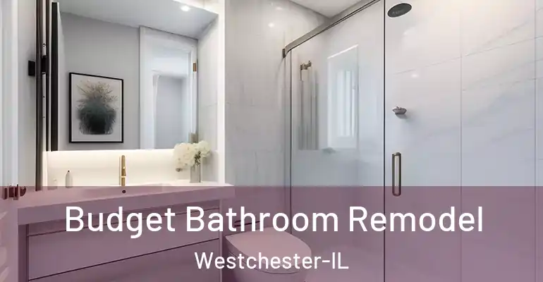 inner Bathroom imggen Budget Bathroom Remodel Westchester-IL
