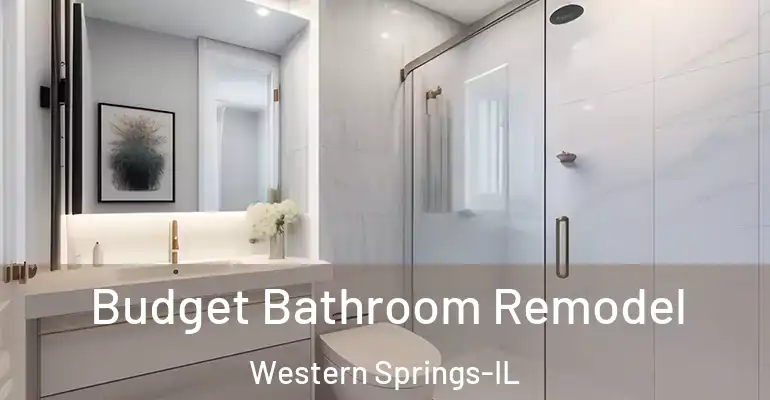 inner Bathroom imggen Budget Bathroom Remodel Western Springs-IL