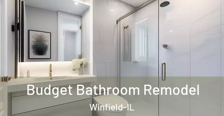 inner Bathroom imggen Budget Bathroom Remodel Winfield-IL