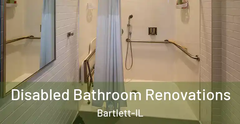 inner Bathroom imggen Disabled Bathroom Renovations Bartlett-IL