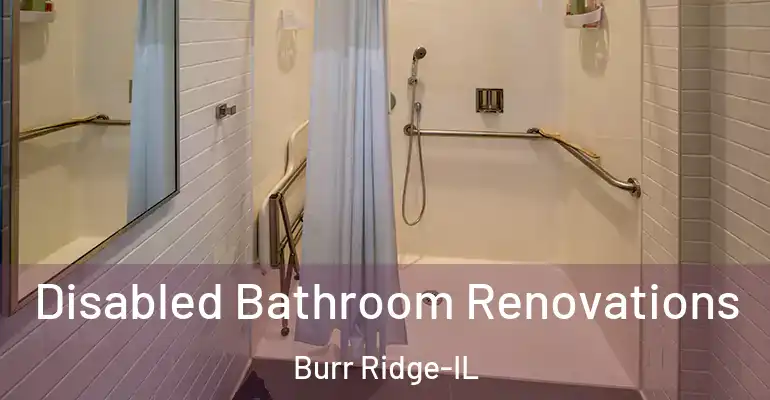 inner Bathroom imggen Disabled Bathroom Renovations Burr Ridge-IL