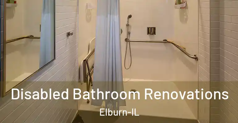 inner Bathroom imggen Disabled Bathroom Renovations Elburn-IL