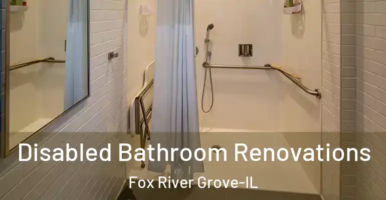 inner Bathroom imggen Disabled Bathroom Renovations Fox River Grove-IL
