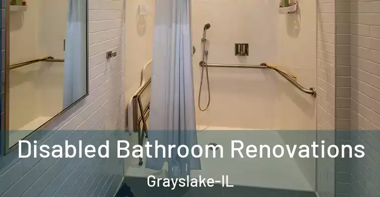inner Bathroom imggen Disabled Bathroom Renovations Grayslake-IL