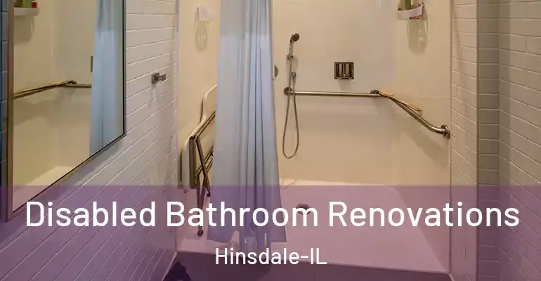inner Bathroom imggen Disabled Bathroom Renovations Hinsdale-IL