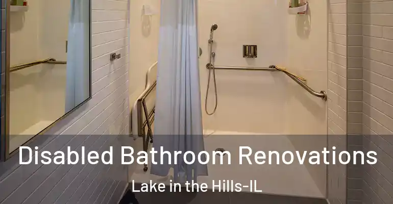 inner Bathroom imggen Disabled Bathroom Renovations Lake in the Hills-IL