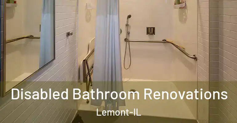 inner Bathroom imggen Disabled Bathroom Renovations Lemont-IL