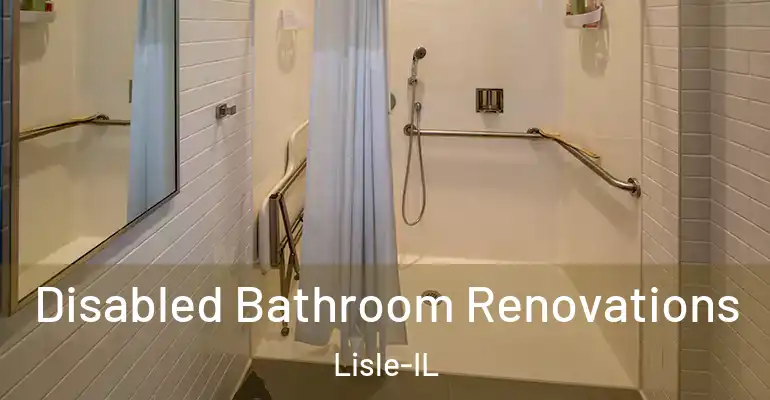 inner Bathroom imggen Disabled Bathroom Renovations Lisle-IL