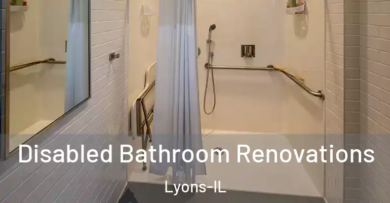 inner Bathroom imggen Disabled Bathroom Renovations Lyons-IL
