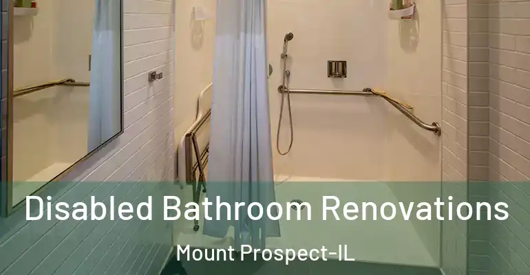 inner Bathroom imggen Disabled Bathroom Renovations Mount Prospect-IL