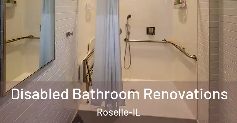 inner Bathroom imggen Disabled Bathroom Renovations Roselle-IL