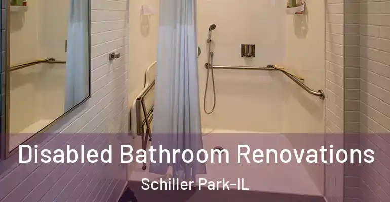 inner Bathroom imggen Disabled Bathroom Renovations Schiller Park-IL