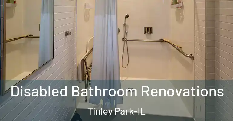 inner Bathroom imggen Disabled Bathroom Renovations Tinley Park-IL