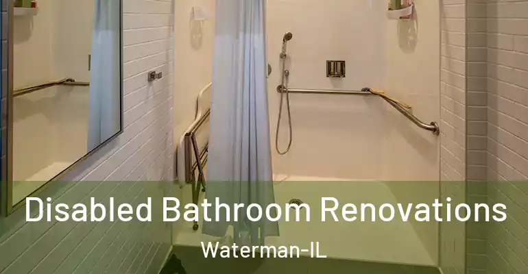 inner Bathroom imggen Disabled Bathroom Renovations Waterman-IL