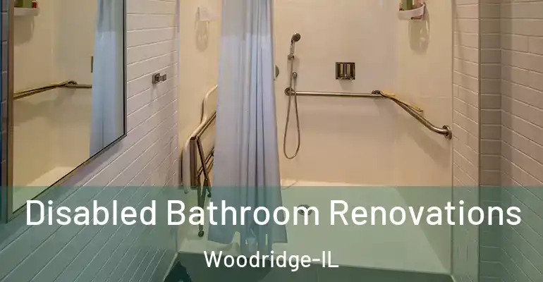 inner Bathroom imggen Disabled Bathroom Renovations Woodridge-IL