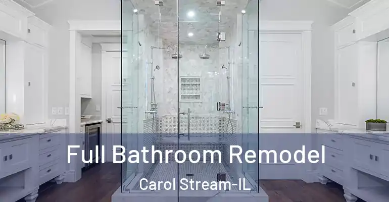 inner Bathroom imggen Full Bathroom Remodel Carol Stream-IL