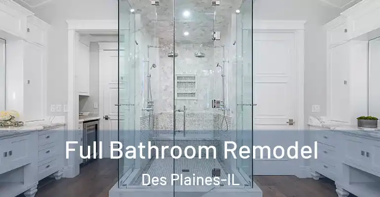 inner Bathroom imggen Full Bathroom Remodel Des Plaines-IL