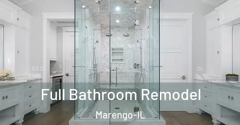 inner Bathroom imggen Full Bathroom Remodel Marengo-IL
