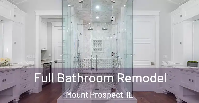 inner Bathroom imggen Full Bathroom Remodel Mount Prospect-IL