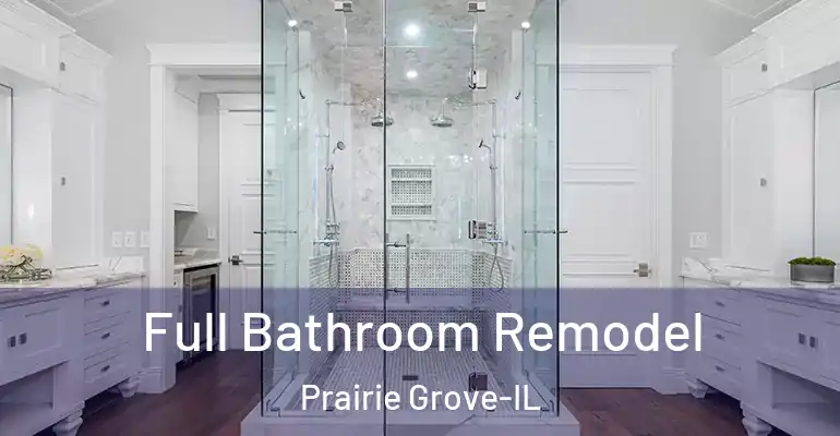 inner Bathroom imggen Full Bathroom Remodel Prairie Grove-IL