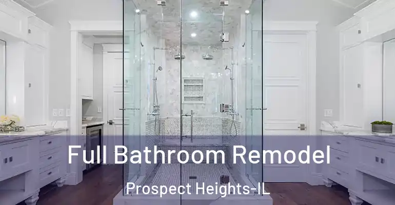 inner Bathroom imggen Full Bathroom Remodel Prospect Heights-IL