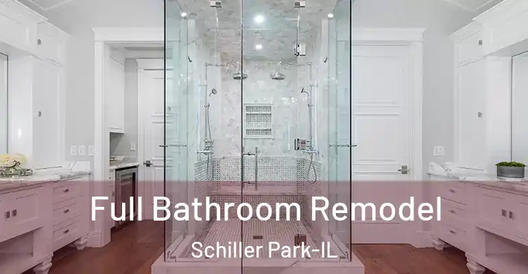 inner Bathroom imggen Full Bathroom Remodel Schiller Park-IL