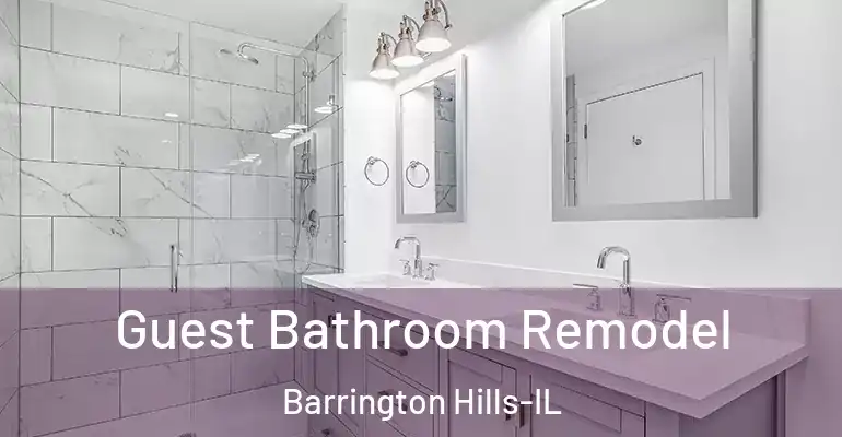 inner Bathroom imggen Guest Bathroom Remodel Barrington Hills-IL