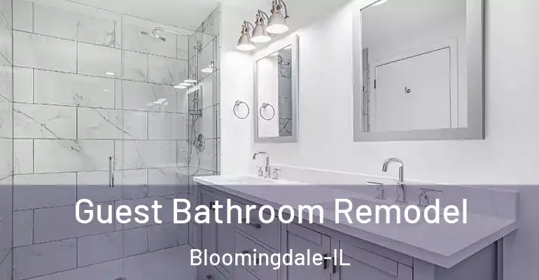 inner Bathroom imggen Guest Bathroom Remodel Bloomingdale-IL