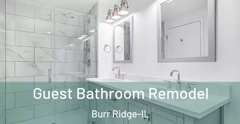 inner Bathroom imggen Guest Bathroom Remodel Burr Ridge-IL
