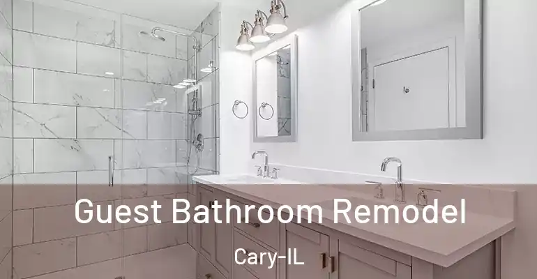 inner Bathroom imggen Guest Bathroom Remodel Cary-IL