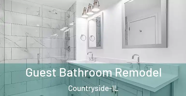 inner Bathroom imggen Guest Bathroom Remodel Countryside-IL