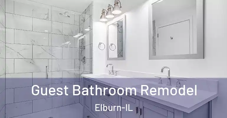 inner Bathroom imggen Guest Bathroom Remodel Elburn-IL