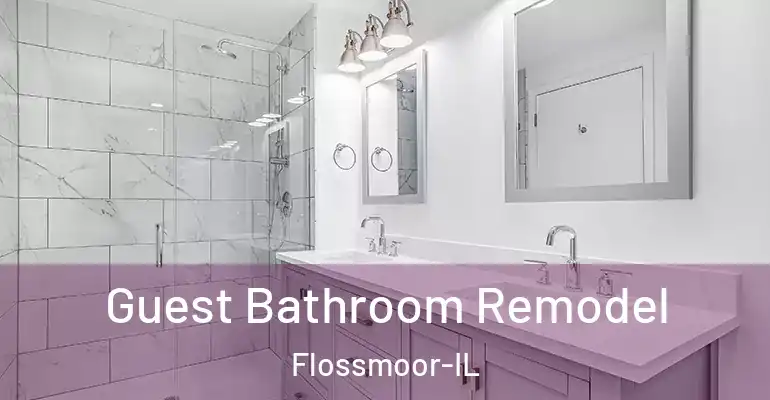 inner Bathroom imggen Guest Bathroom Remodel Flossmoor-IL
