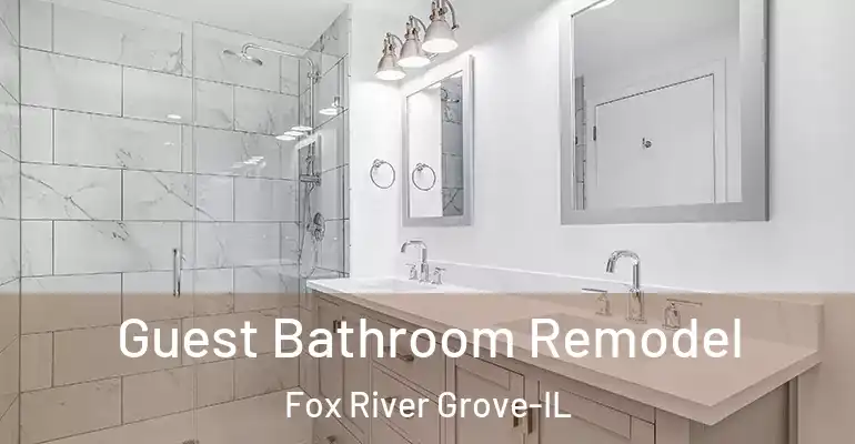 inner Bathroom imggen Guest Bathroom Remodel Fox River Grove-IL