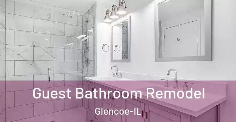 inner Bathroom imggen Guest Bathroom Remodel Glencoe-IL