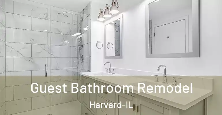 inner Bathroom imggen Guest Bathroom Remodel Harvard-IL